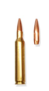 .223 Remingtown bullet